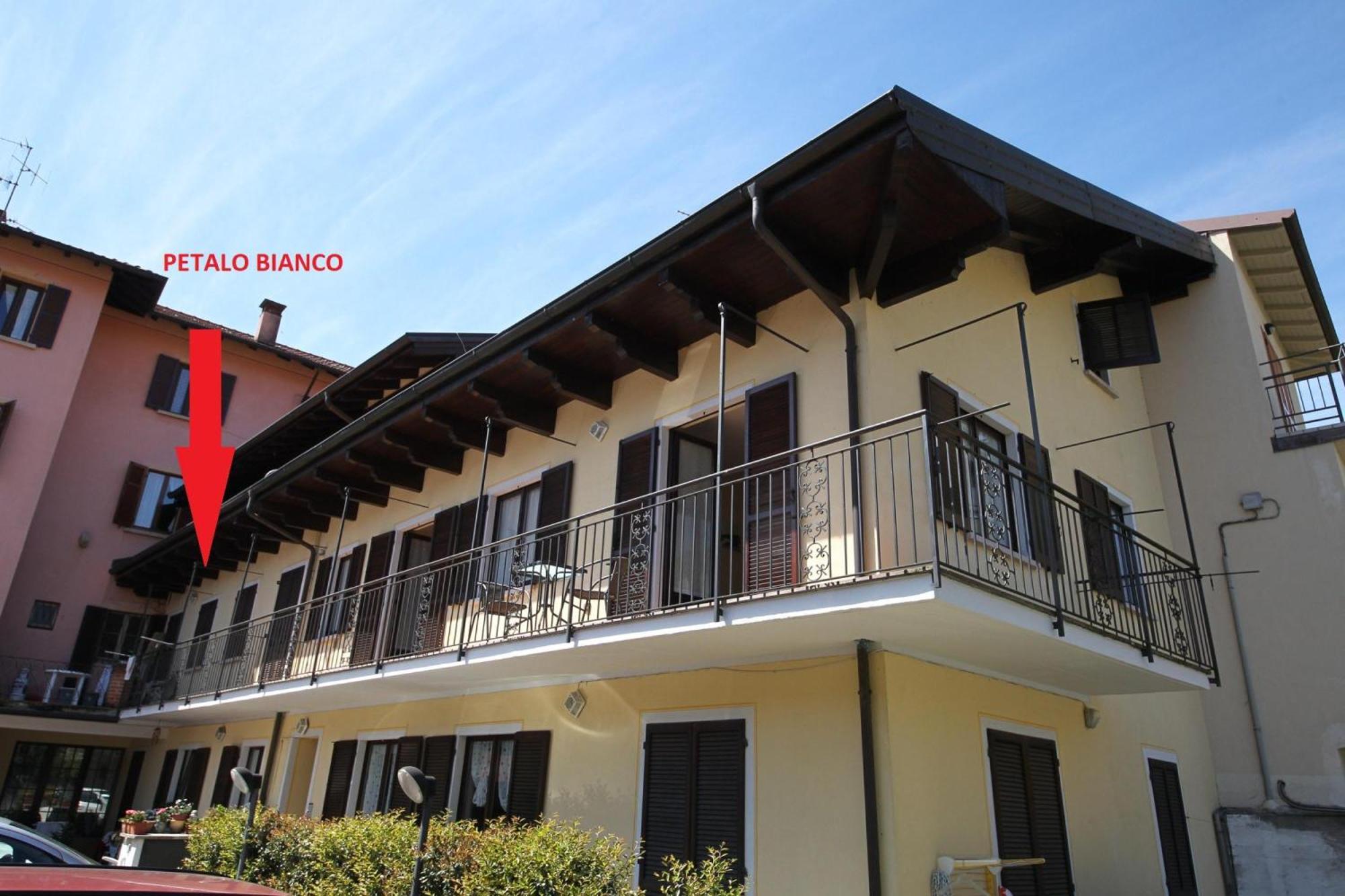 Petalo Bianco 100M From Lake - Happy Rentals Baveno Exterior photo